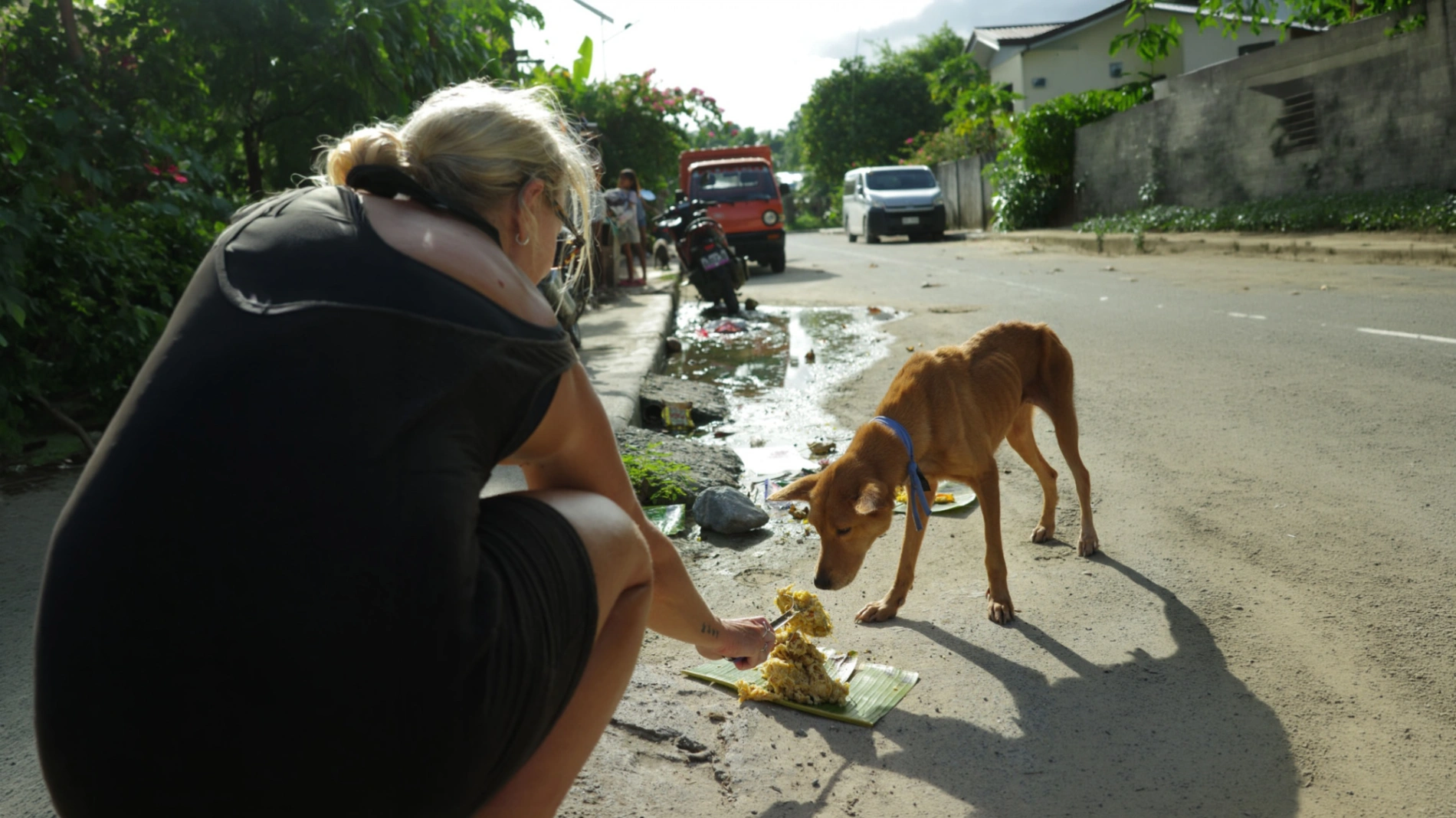 Animal Welfare and Awareness in Siargao